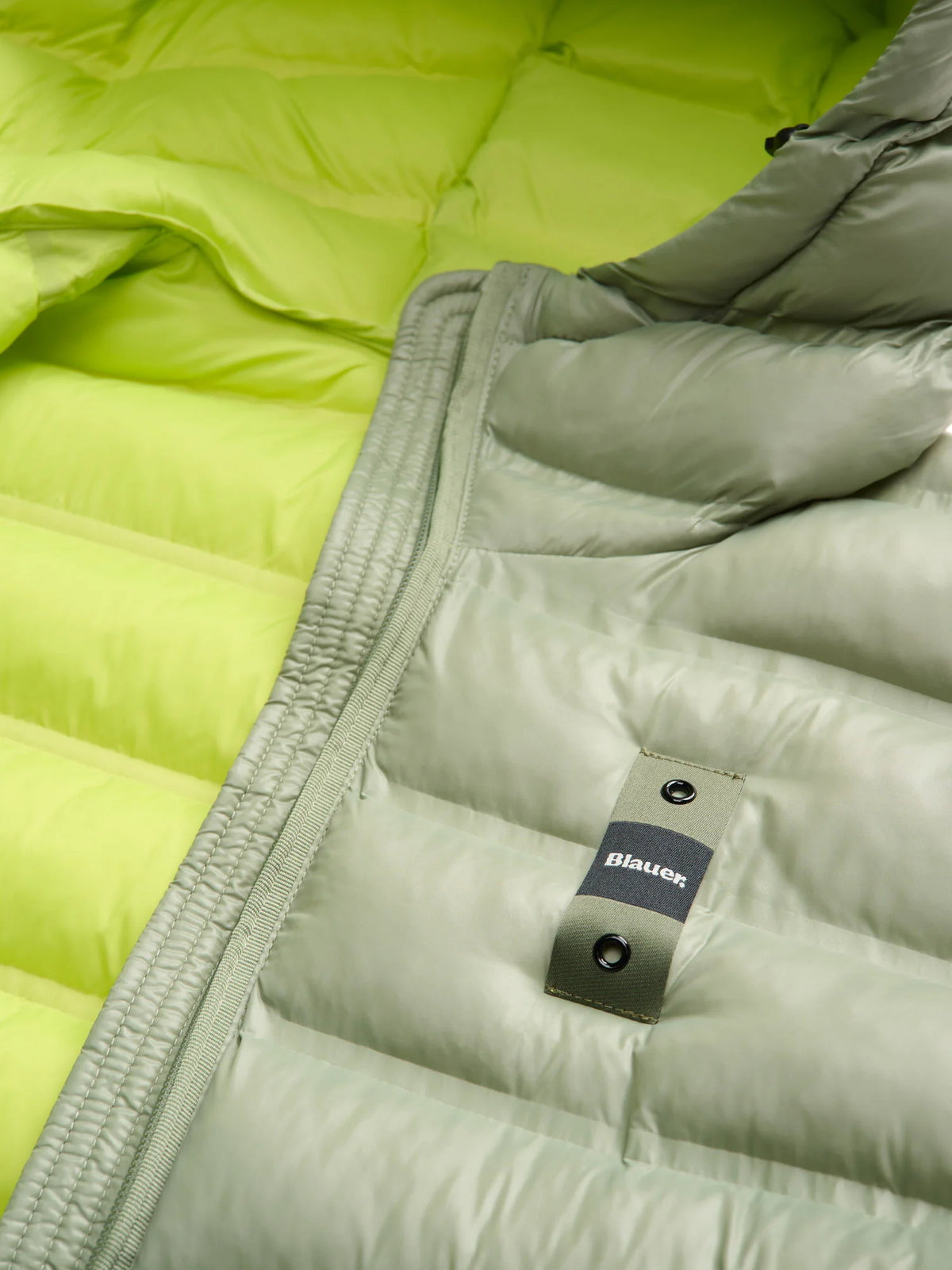 Piumino Blauer Ellis — Verde olio — vista 5