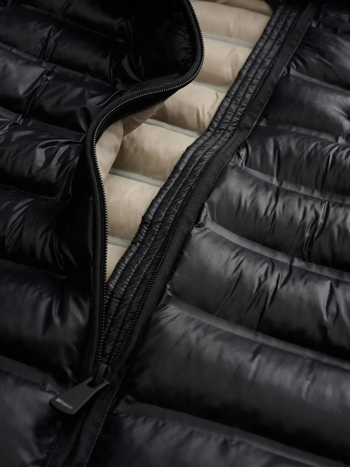 Piumino Blauer Ellis — Nero — vista 5