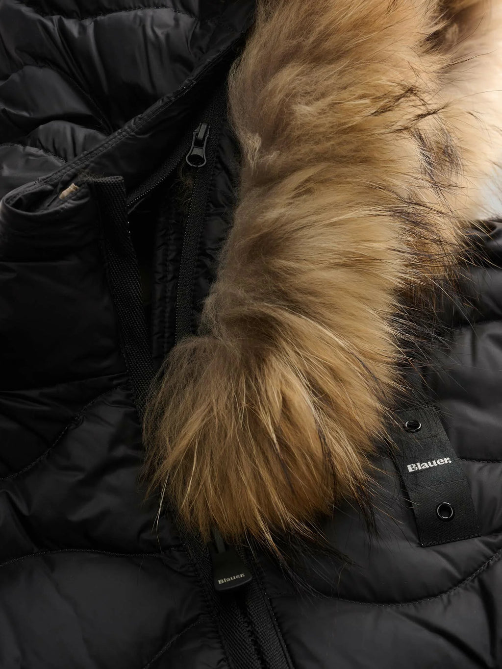 Blauer Aldie down jacket — Black — view 5