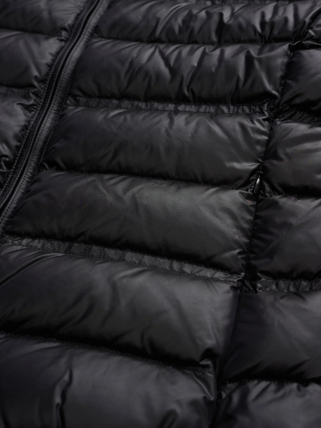 Piumino Blauer Georgia — Nero — vista 5
