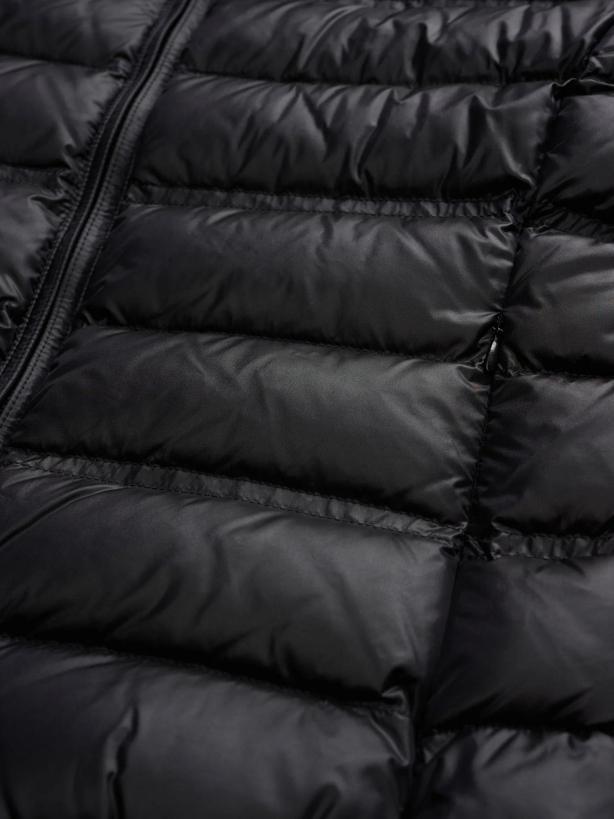 Piumino Blauer Georgia — Nero — vista 5