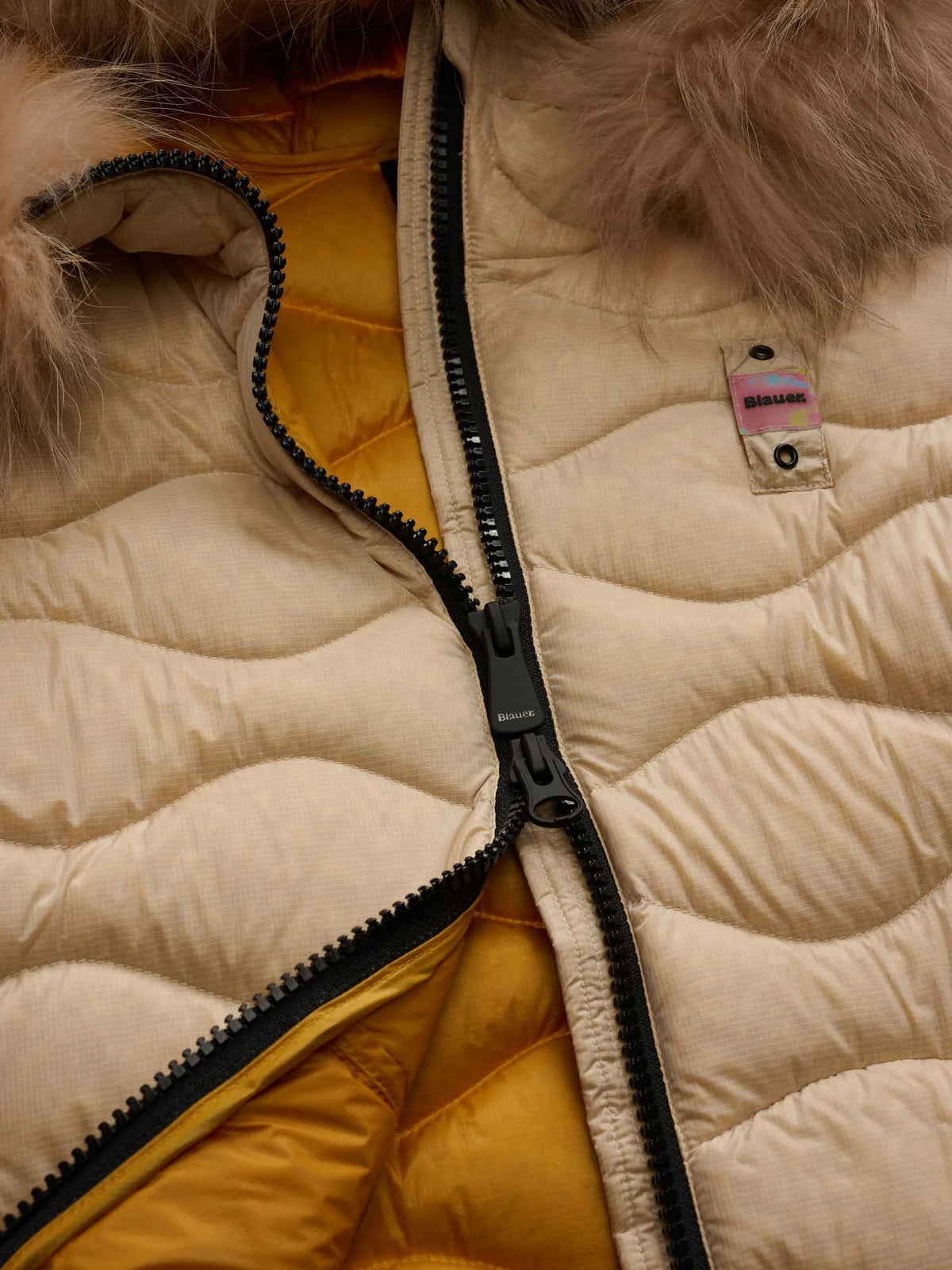 Blauer Aldie Colors down jacket — Yellow — view 5