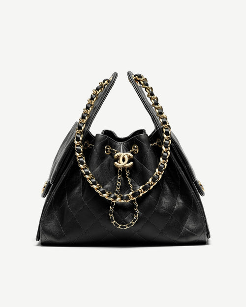 CHANEL 25 Small Handbag